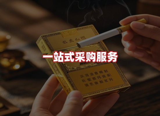 专业团队